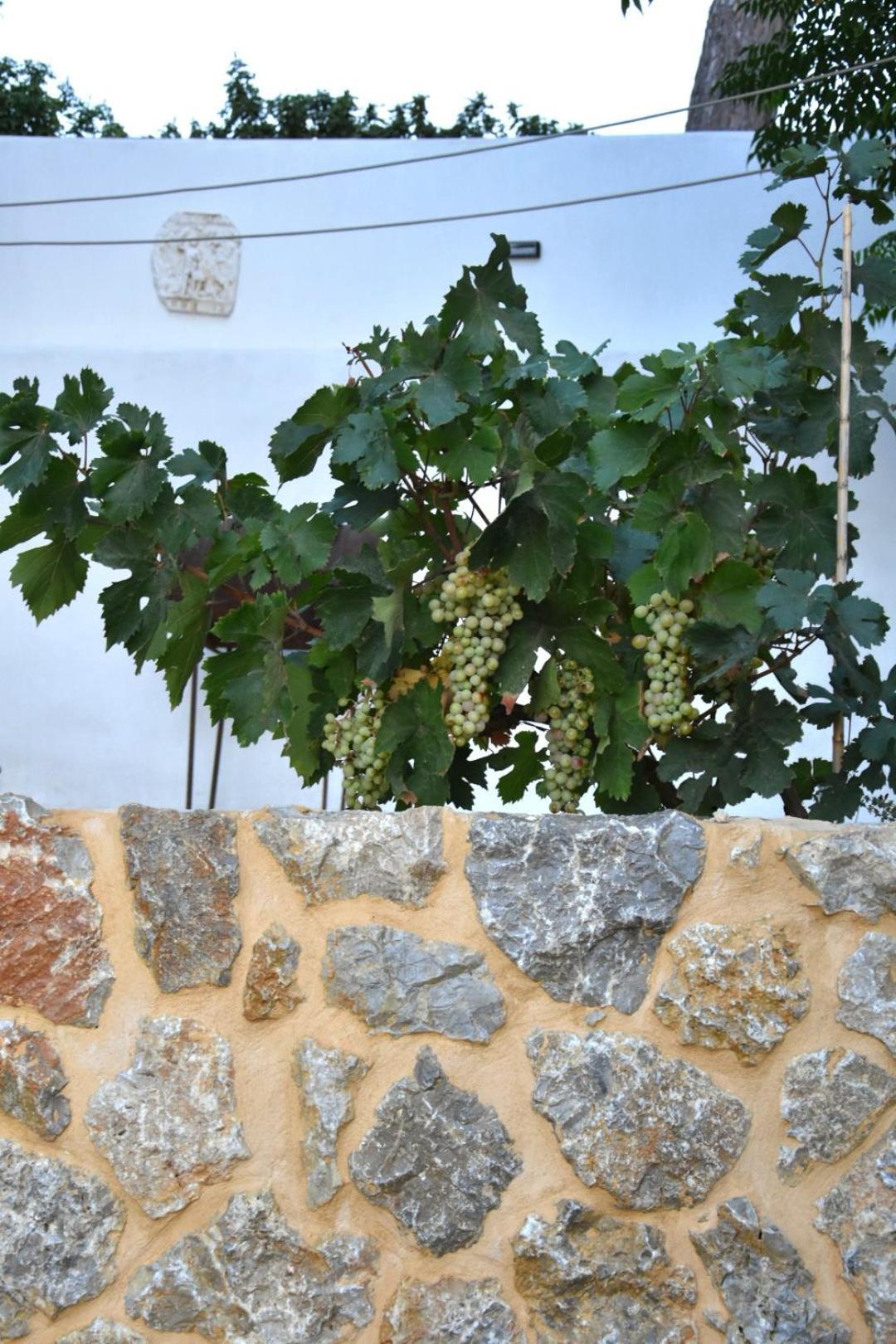 Rustic Private Cottage W/ King Bed In Galanado Naxos Habitación foto